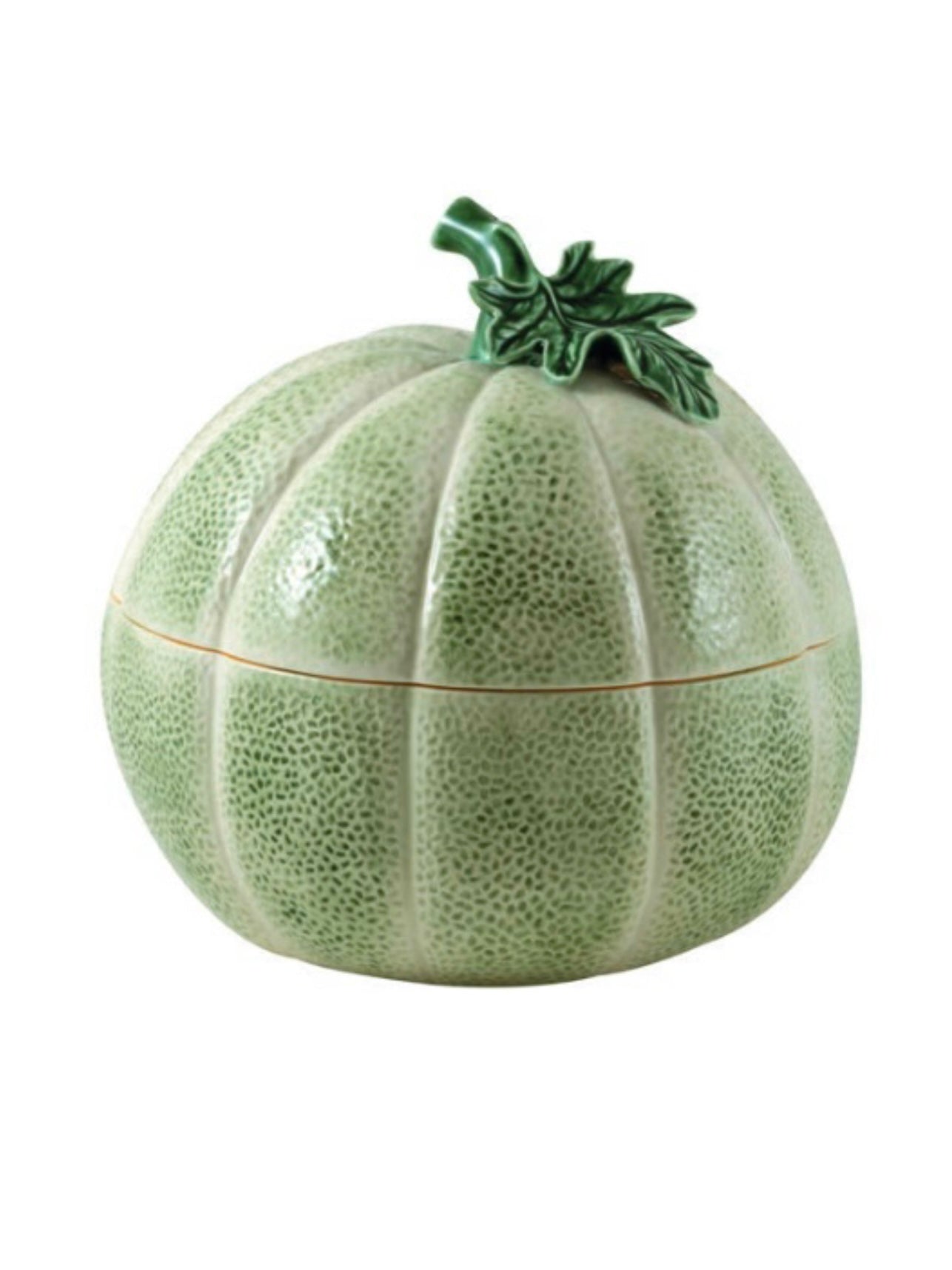 Schaal meloen - productfoto