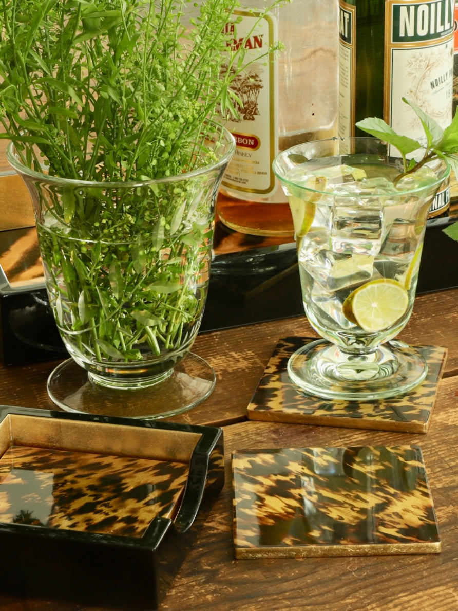 schildpad onderzetters - sfeerfoto